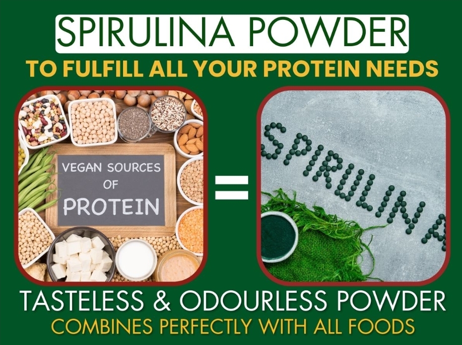 buy Spirulina protein powder