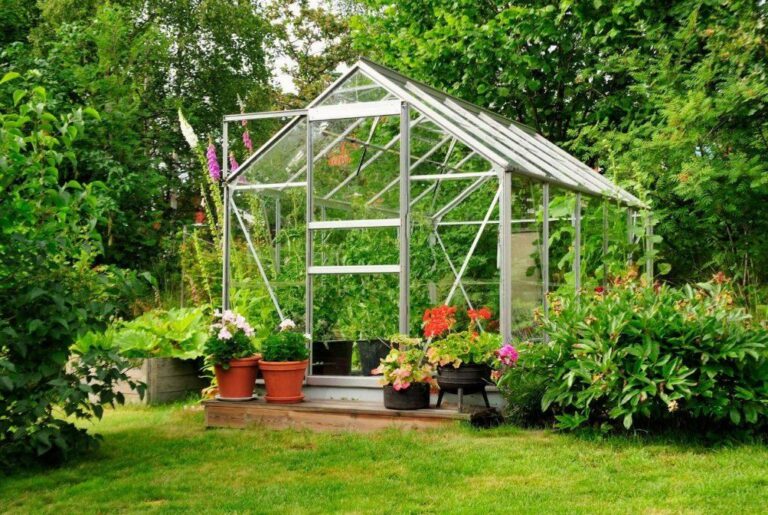 British Orchard Specialists Explain 10 Ways to Stretch the Harvest Season